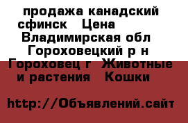 продажа канадский сфинск › Цена ­ 5 000 - Владимирская обл., Гороховецкий р-н, Гороховец г. Животные и растения » Кошки   
